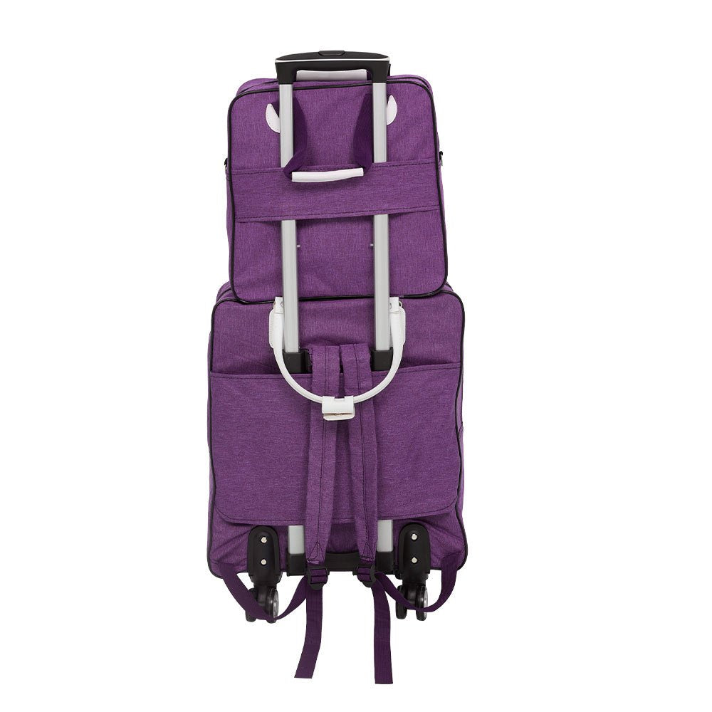 2 Piece Lightweight Rolling Luggage Set with Spinner Wheels, Suitcase Set, Spinner Luggage Set, Carry - on Suitcase and Matching Travel Bag for Business Trips, Versatile Luggage Solution for Vacation Getaways, Weekend Trips a