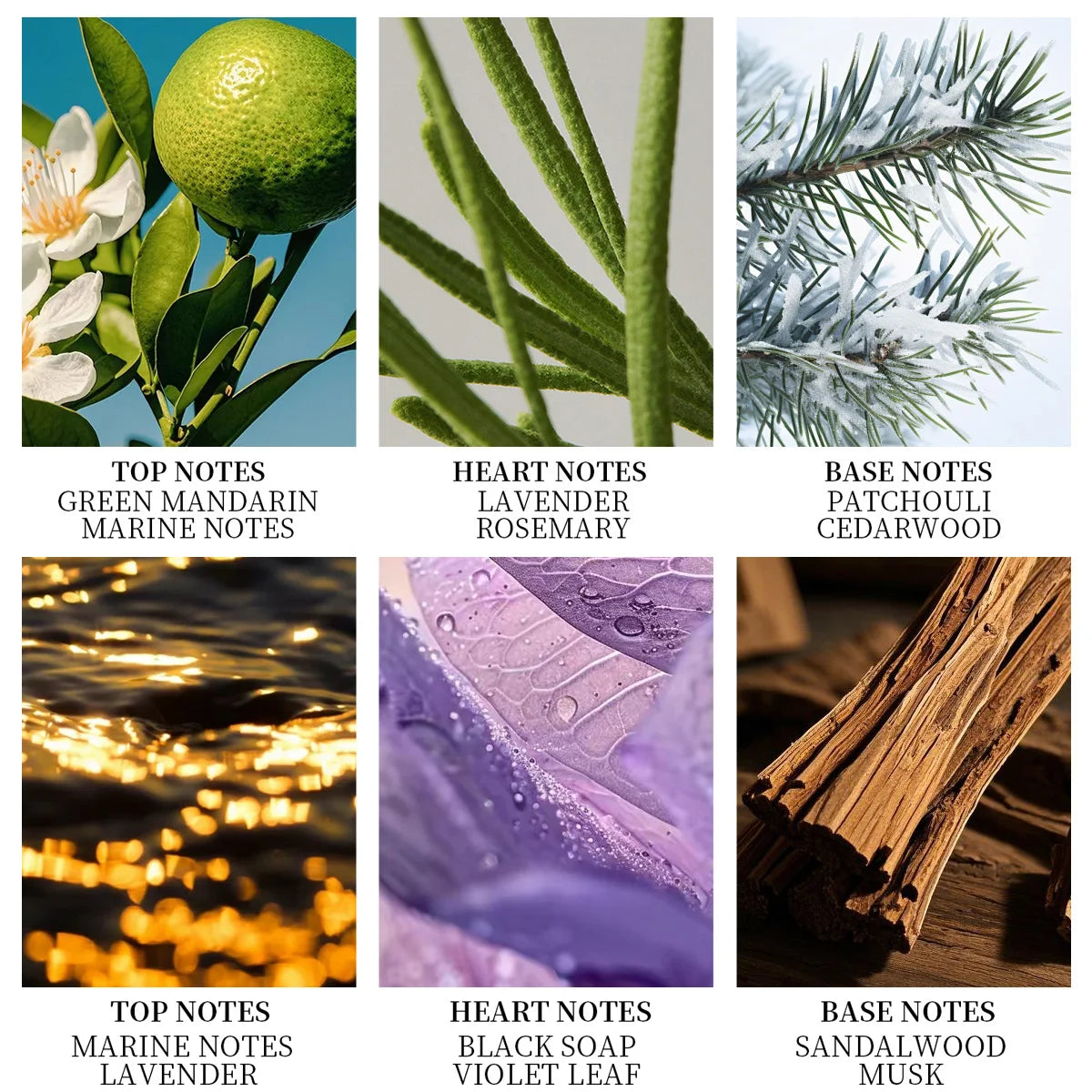 LASTAR men perfume set, 100ml/3.38fl oz, sandalwood & cedar, long-lasting fragrance. Christmas/New Year gifts. Daily use.