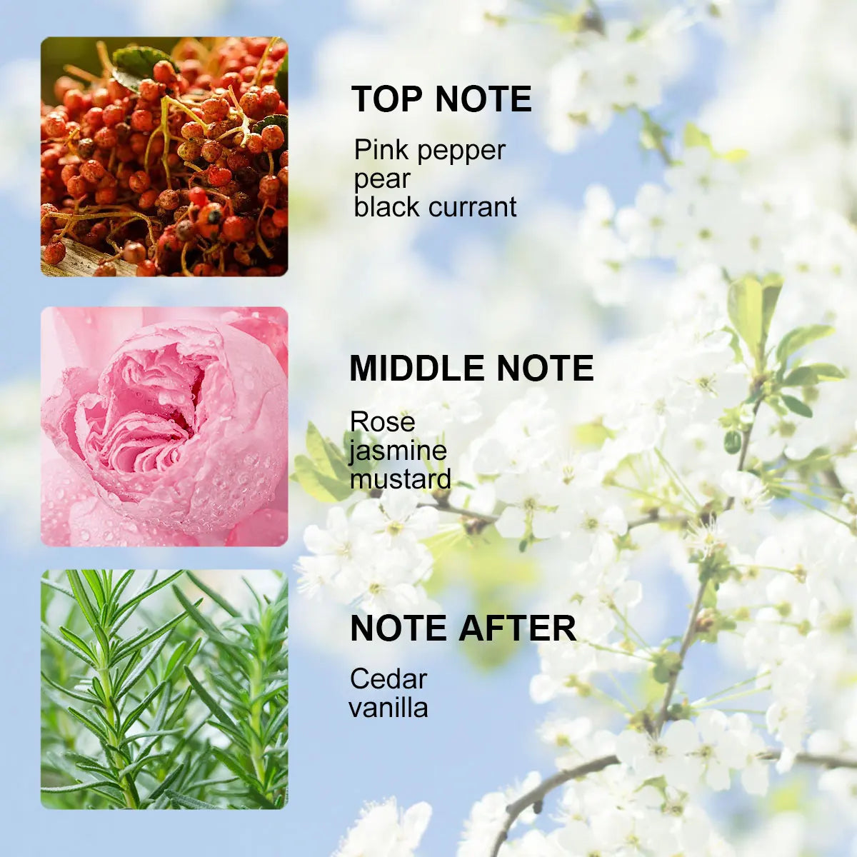 LASTAR Women's Perfume,1.7fl oz,50ml, Rose Jasmine Fragrance, Long-Lasting Scent, Christmas Gifts, date Atmosphere