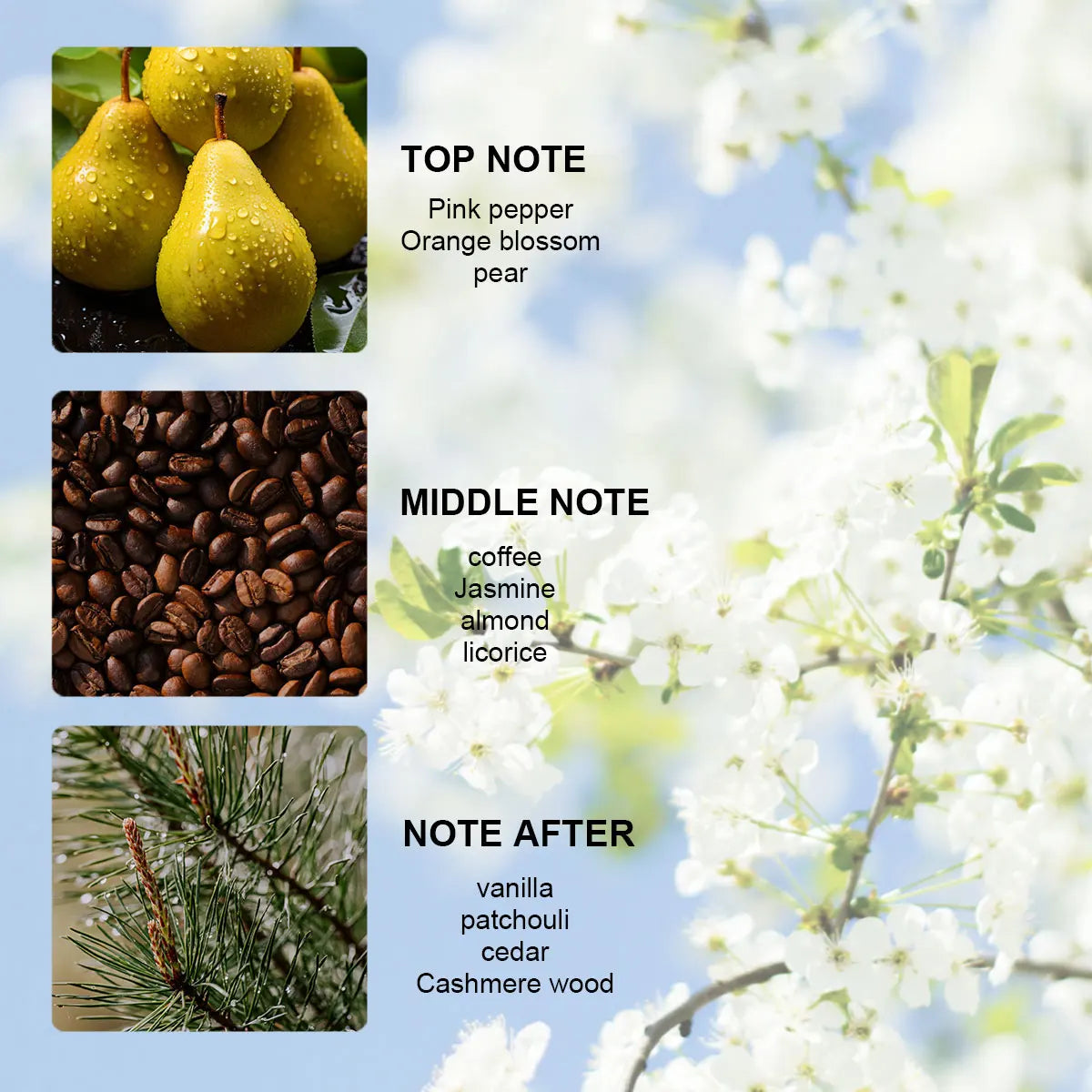 LASTAR Pheromone Perfume 55ml/1.86fl oz Cedar Long-Lasting Fragrance, Suitable for Christmas Gifts for both Men and Women