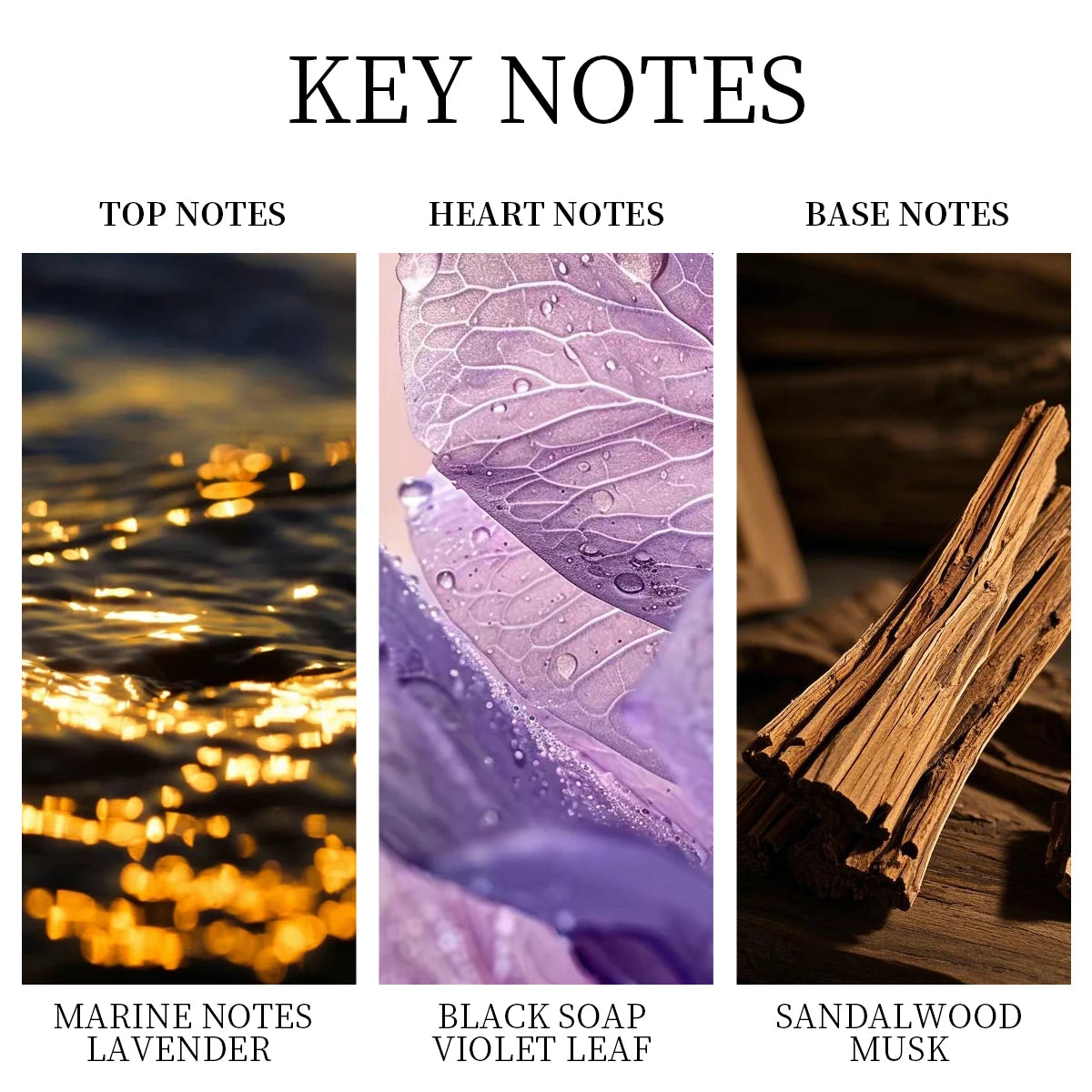 LASTAR Men's Perfume, Musk, Two bottles Totaling 100ml/3.38fl oz. Long-Lasting Fragrance, Christmas Gift