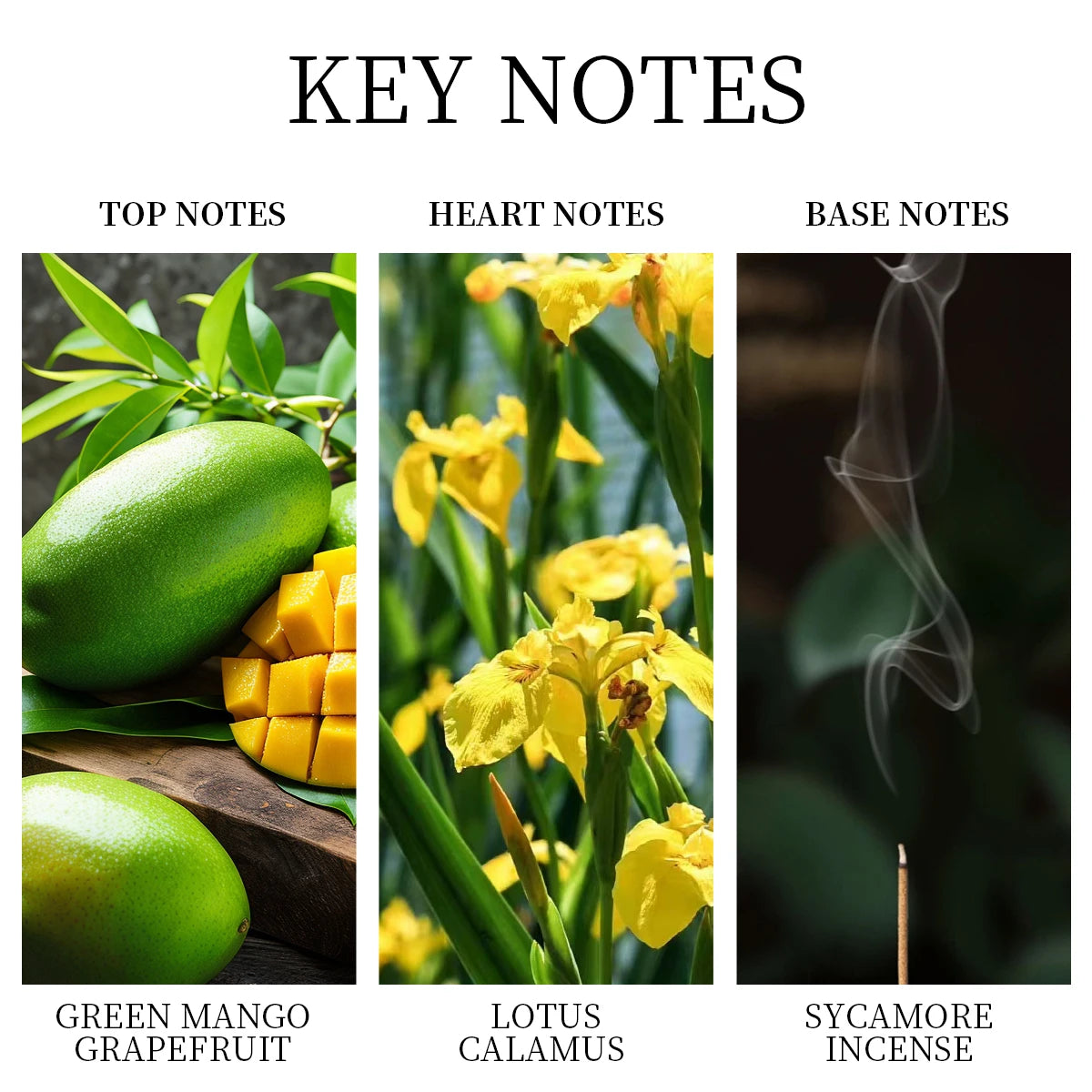 LASTAR Perfume for Men, Long-Lasting Fragrance, Fresh Fruity Note,50ml/1.7fl oz, Suitable for Dates out,Christmas Gift.